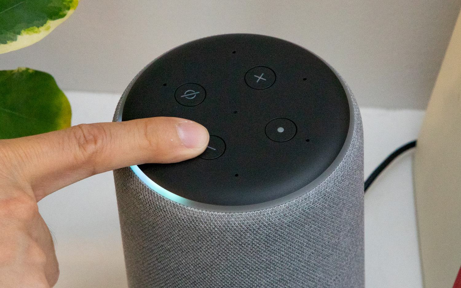 How to play music on alexa for free