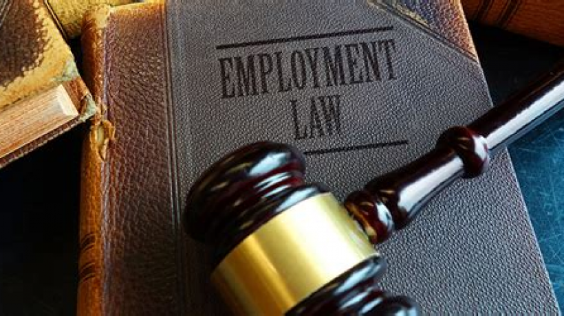 What is the Purpose of Employment Law?