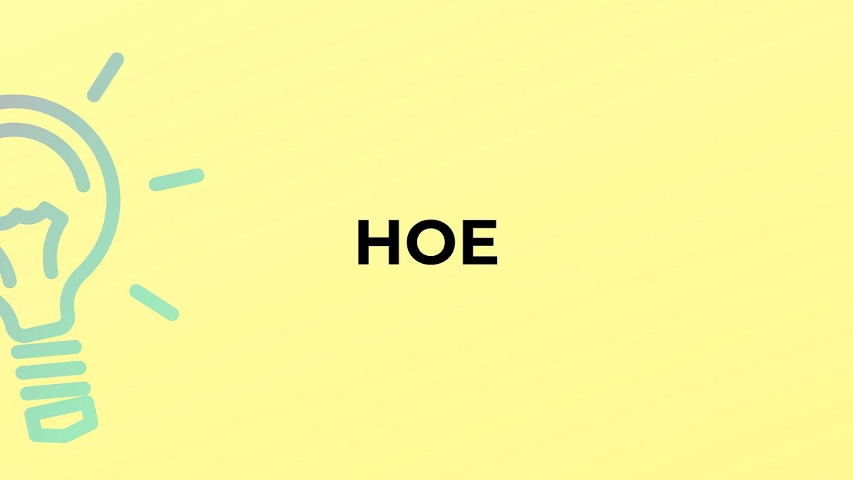 The Evolution of "Hoe" as a Derogatory Slang Term