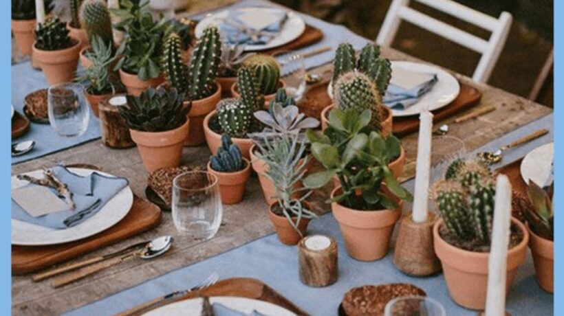 Centerpiece Trends: Cactus Chic for Modern Tablespaces