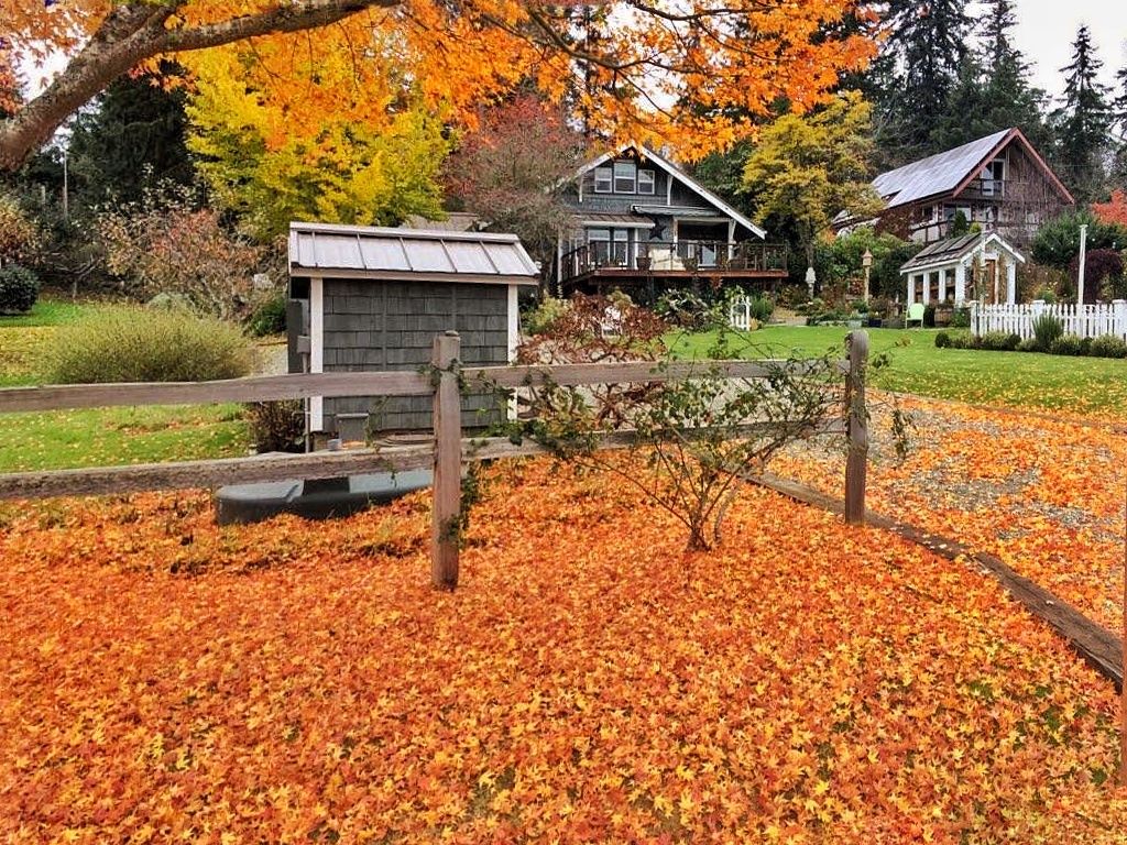 What are the benefits of leaf litter mulch?