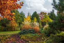 Landscaping Your Garden for a Fall Leaf-Filled Haven: Practical Tips and Creative Ideas