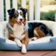 Is there a way to prevent hip dysplasia in dogs