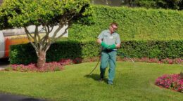 Miami Lawn Maintenance: Pest & Disease Care That Actually Works