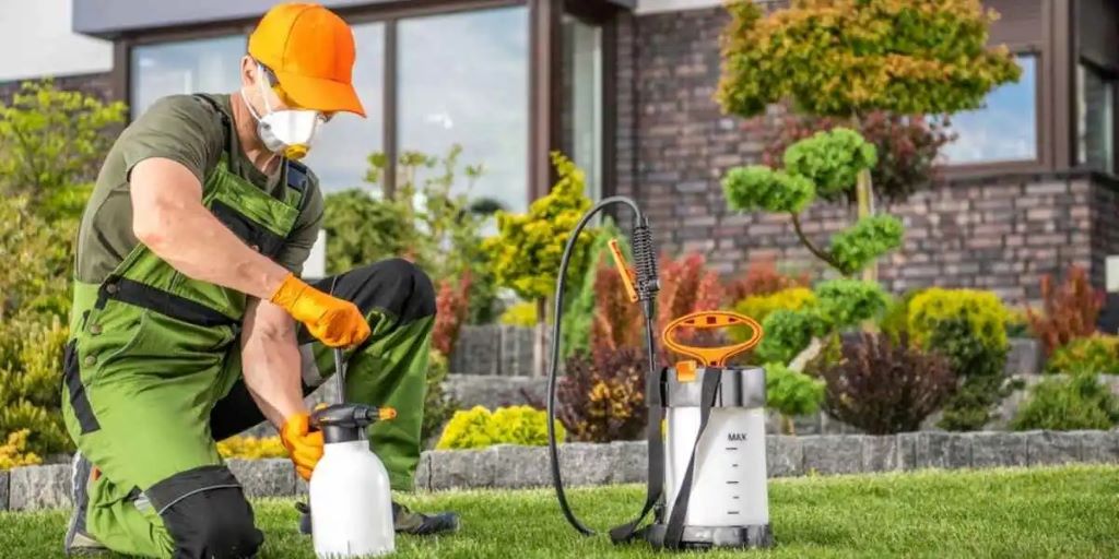 7 Tips for Maintaining Your Landscape near Miami