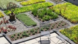 Oklahoma City Sustainability in Roofing Services: The Green Evolution Taking Root
