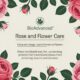 Label of BioAdvanced Rose and Flower Care showing complete usage directions for protecting roses and flowers from insects and diseases.