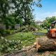 Gas chainsaw resting on a log in a yard with storm damage.